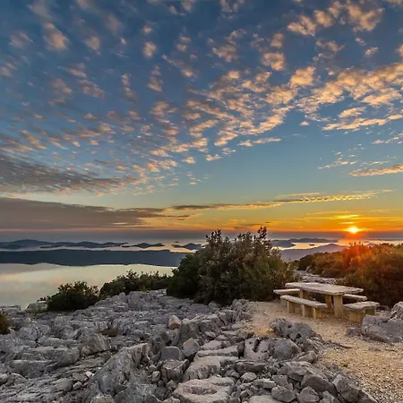 Nedjeljka Lejlighed Drage